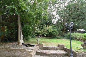 Photo 11- click for photo gallery